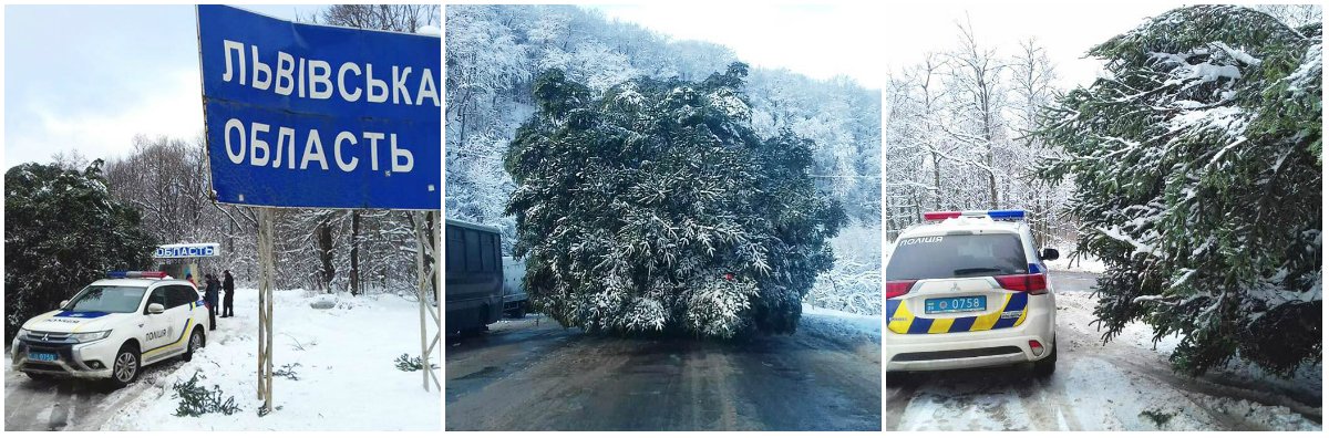 Елку медленно транспортирую из-за больших ее размеров и метели во Львовской области Елку медленно транспортирую из-за больших ее размеров и метели во Львовской области
