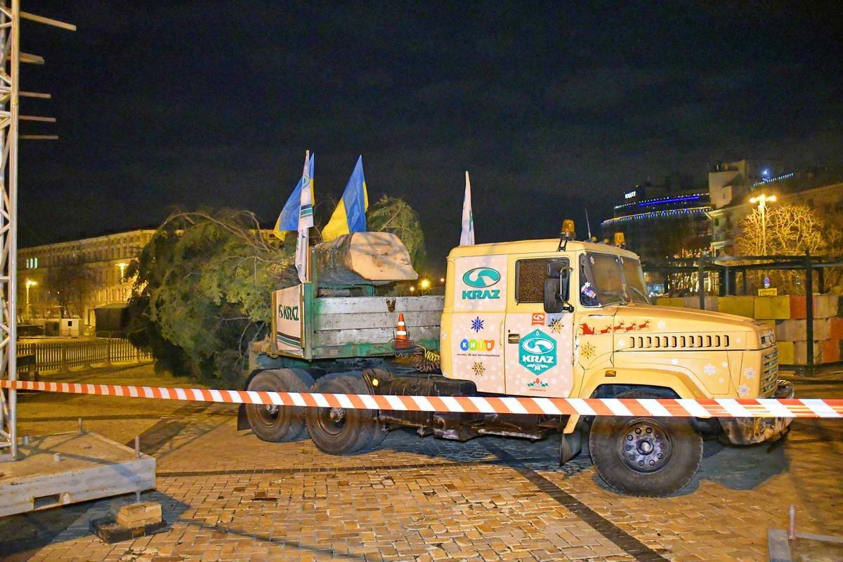 В Киев прибыла новогодняя елка 