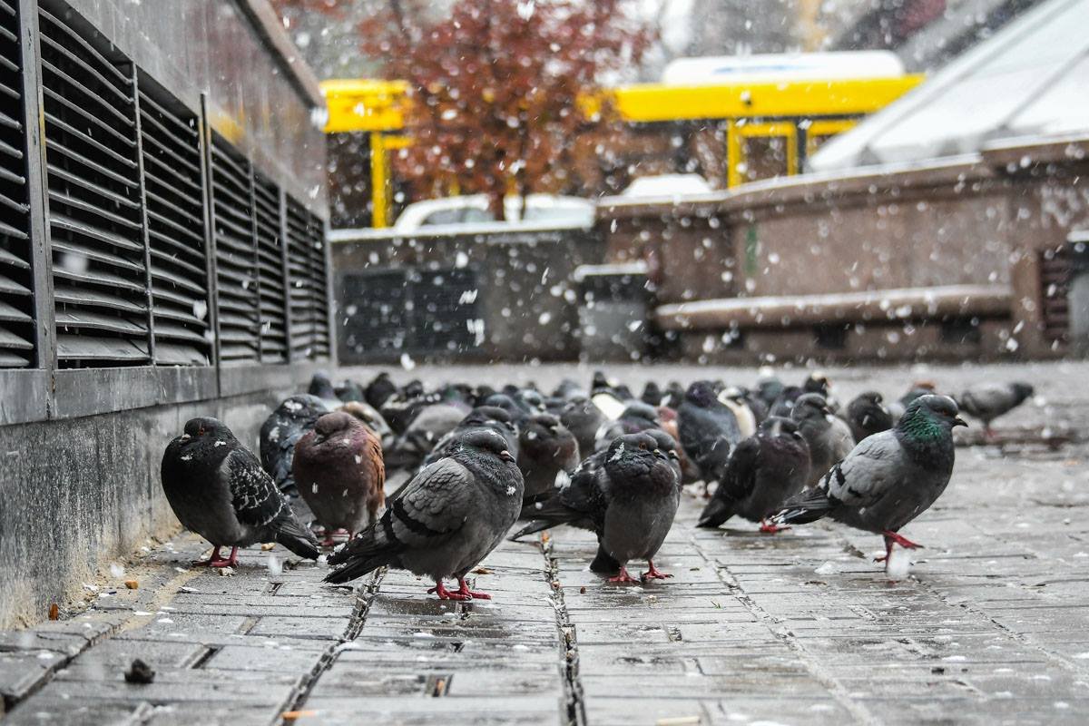 Вместе теплее и веселее