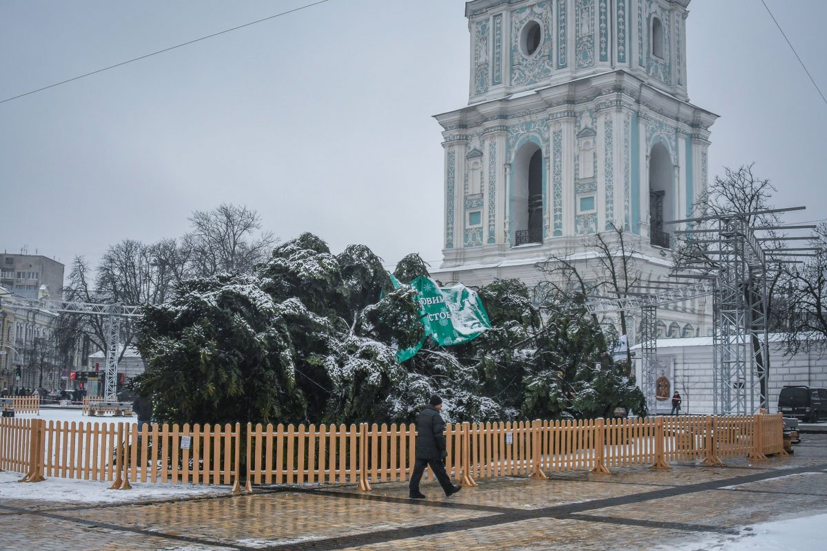По словам водителя, елку доставили в Киев около 2 часов ночи По словам водителя, елку доставили в Киев около 2 часов ночи