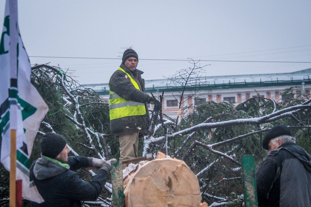 По словам водителя, елку доставили в Киев около 2 часов ночи По словам водителя, елку доставили в Киев около 2 часов ночи