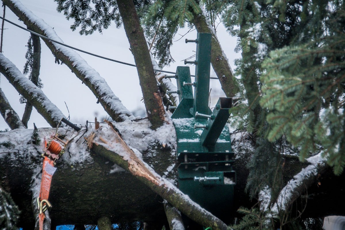 На елку установили несколько металлических хомутов На елку установили несколько металлических хомутов