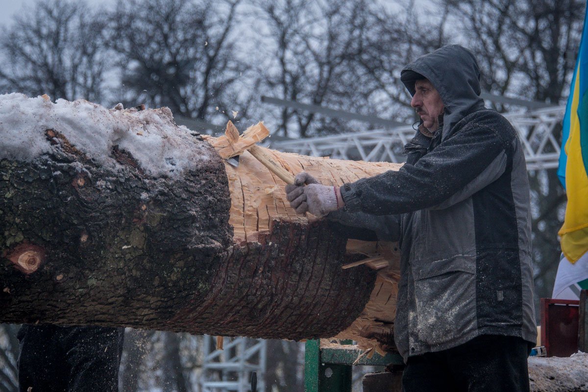 Для уменьшения диаметра елки работники с топором и бензопилой снимают с дерева кору Для уменьшения диаметра елки работники с топором и бензопилой снимают с дерева кору