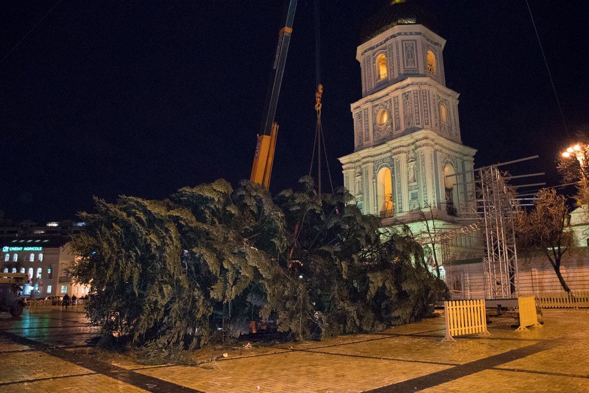 Уже стемнело, а елку еще не поставили Уже стемнело, а елку еще не поставили