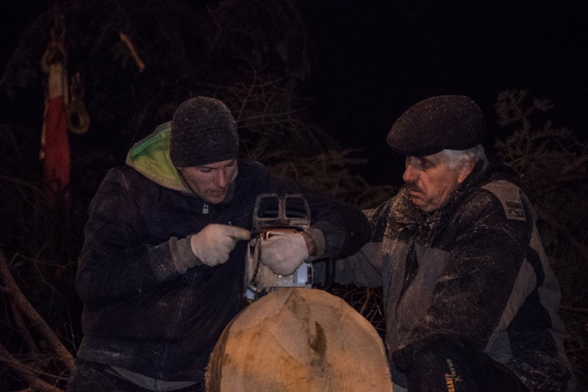 Работники, находясь на холоде, весь день работали над подготовкой елки к установке Работники, находясь на холоде, весь день работали над подготовкой елки к установке