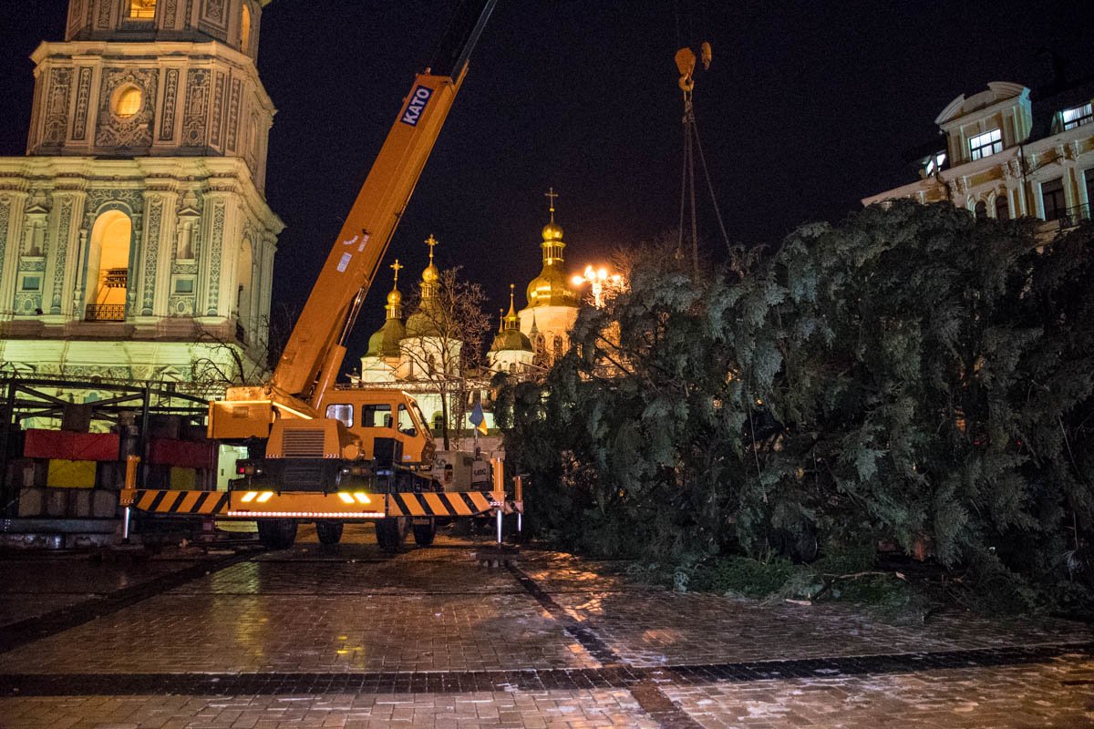 Организаторы пообещали установить елку ближе к 7:30 утра Организаторы пообещали установить елку ближе к 7:30 утра
