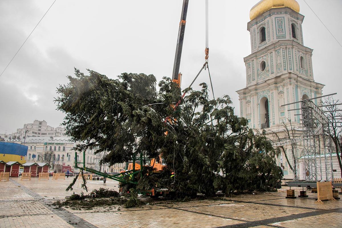 На нее устанавливали специальные хомуты и сваи