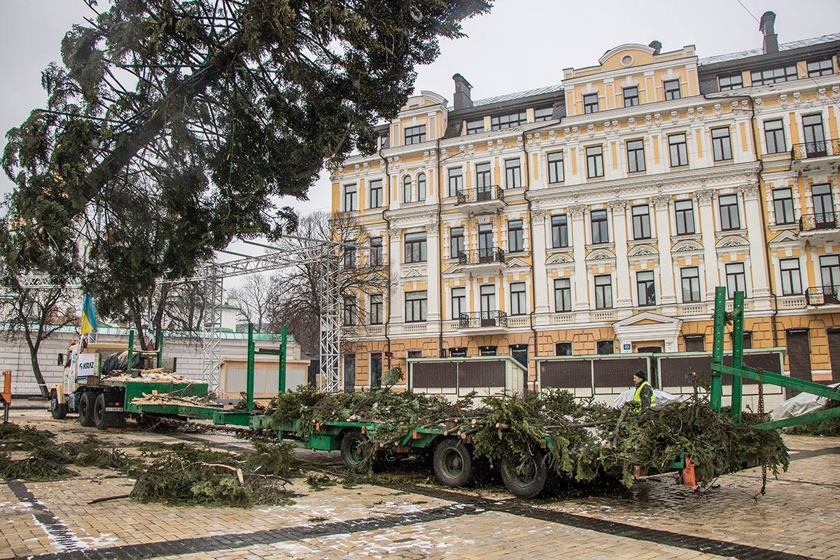 Также ствол 100-летней ели был намного шире, чем ширина приготовленного для нее каркаса, поэтому ствол обтесывали 