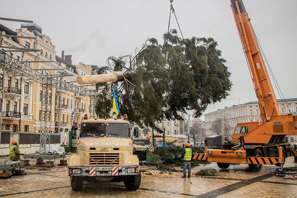 Устанавливали зеленую красавицу с помощью крана