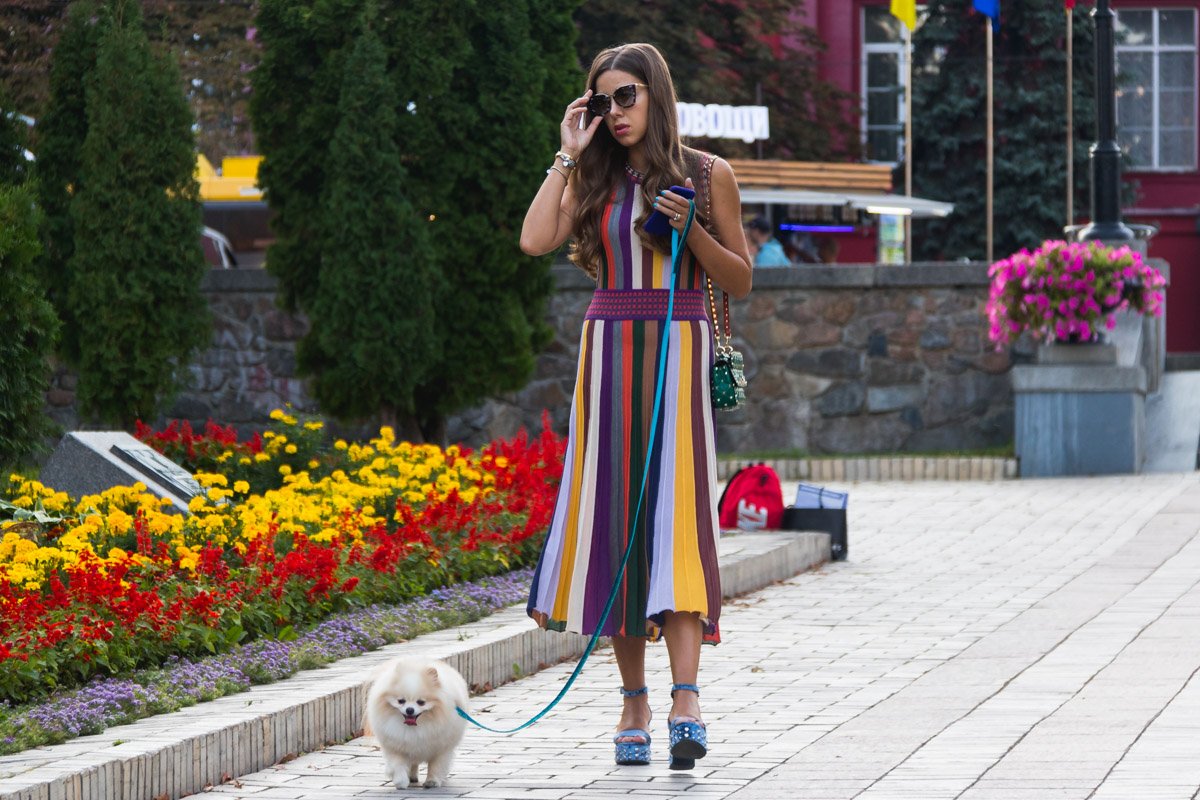 Утонченные барышни с маленькими собачками это классика 