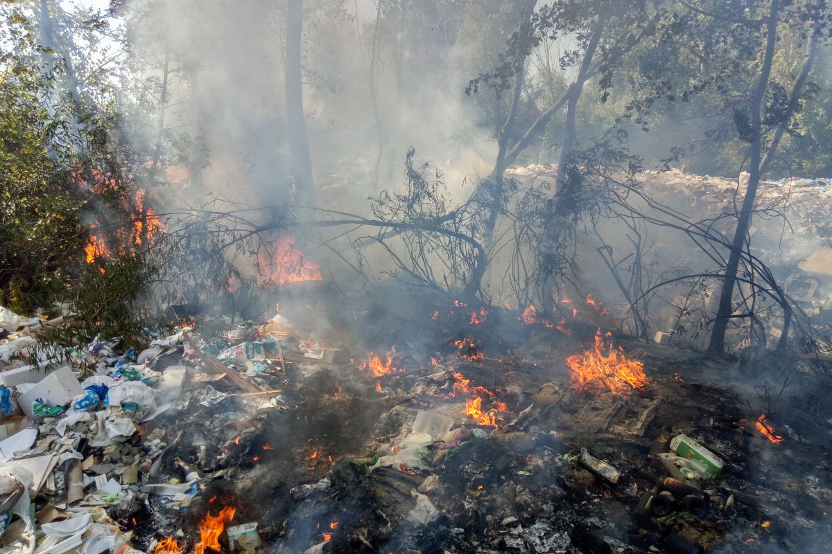 В лесопарковой зоне у залива реки Десенка загорелась мусорная свалка