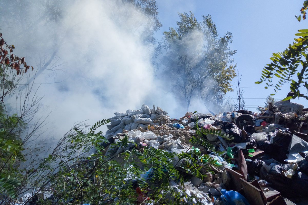 Ветер быстро разнес огонь на деревья и кусты