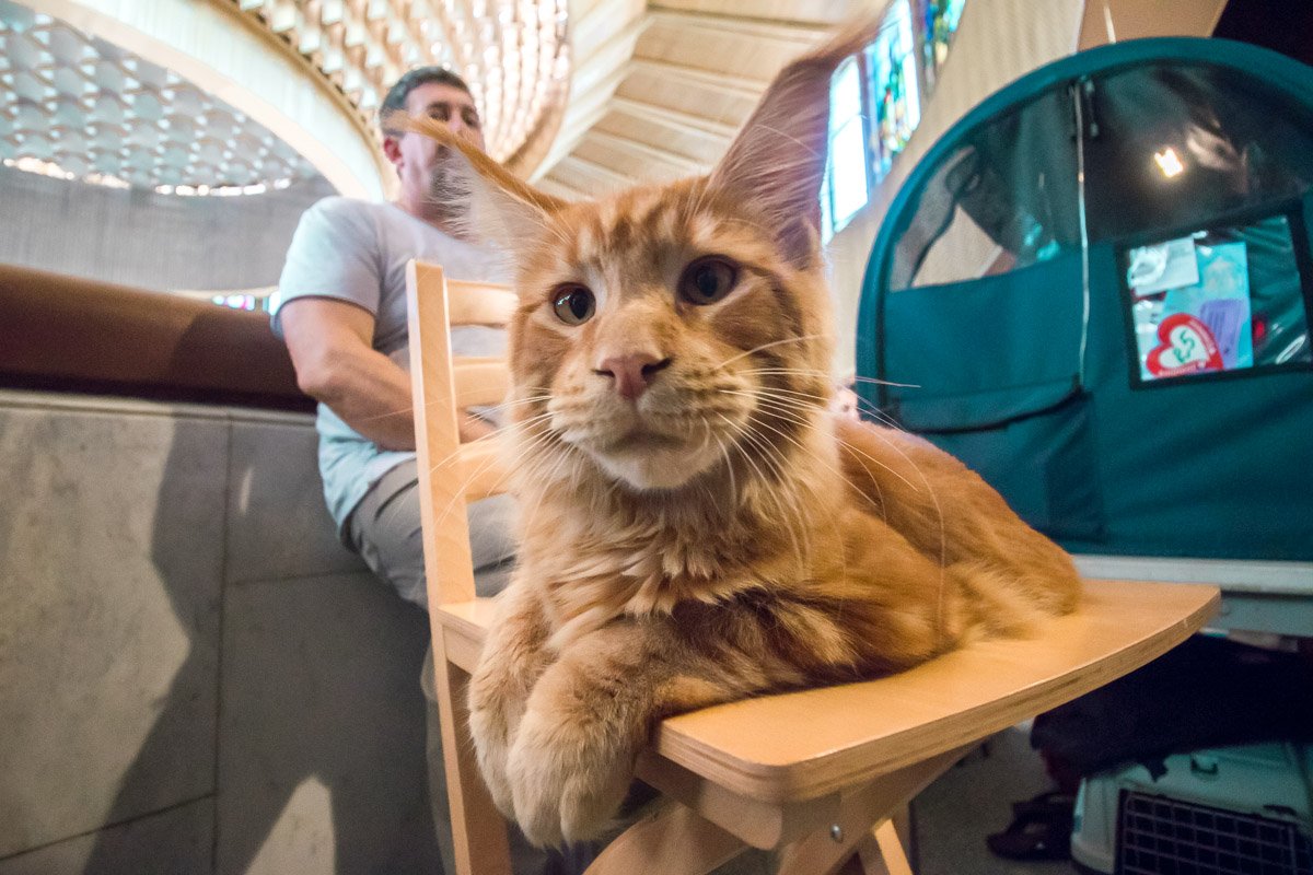 Как вам такой взгляд? Как вам такой взгляд?