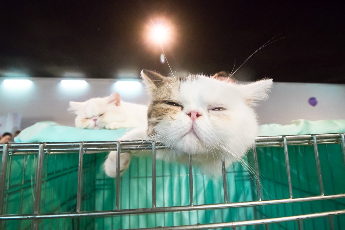 Яркие лампы не помеха здоровому сну Яркие лампы не помеха здоровому сну