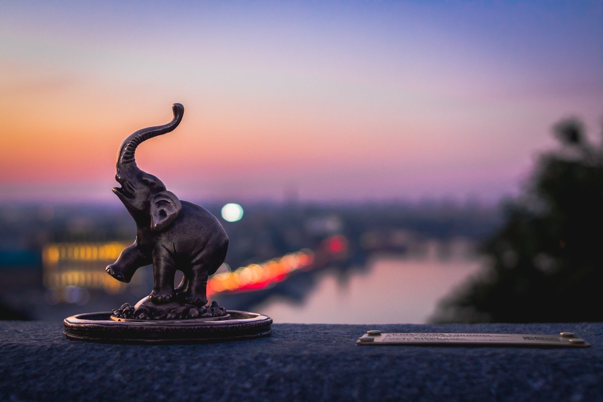 Мимишный какой! Мимишный какой!