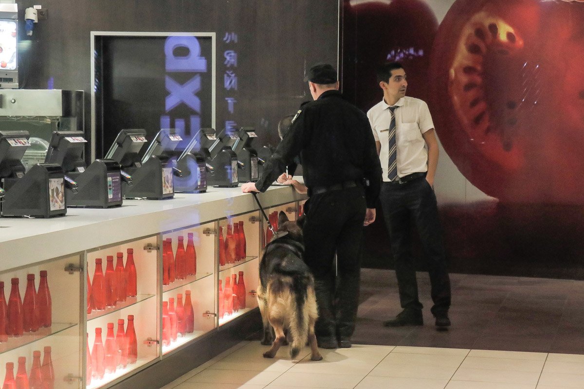 Велось обследование помещений взрывотехниками и кинологами Велось обследование помещений взрывотехниками и кинологами