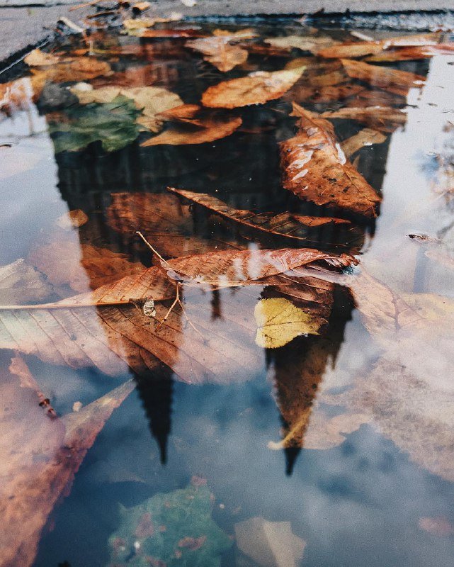 Столица "утонула" в дожде. Фото: @vetalisd