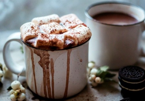 Чашка какао и приятный разговор с другом согревают не хуже обогревателя Чашка какао и приятный разговор с другом согревают не хуже обогревателя