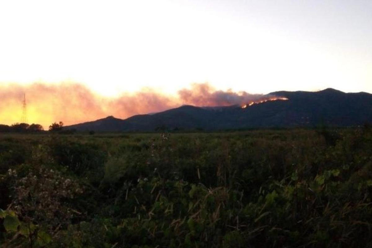 В горах Италии вспыхнул новый пожар В горах Италии вспыхнул новый пожар