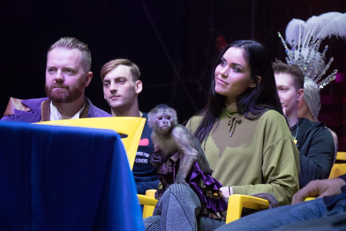 Зрителей обещают удивить захватывающими номерами