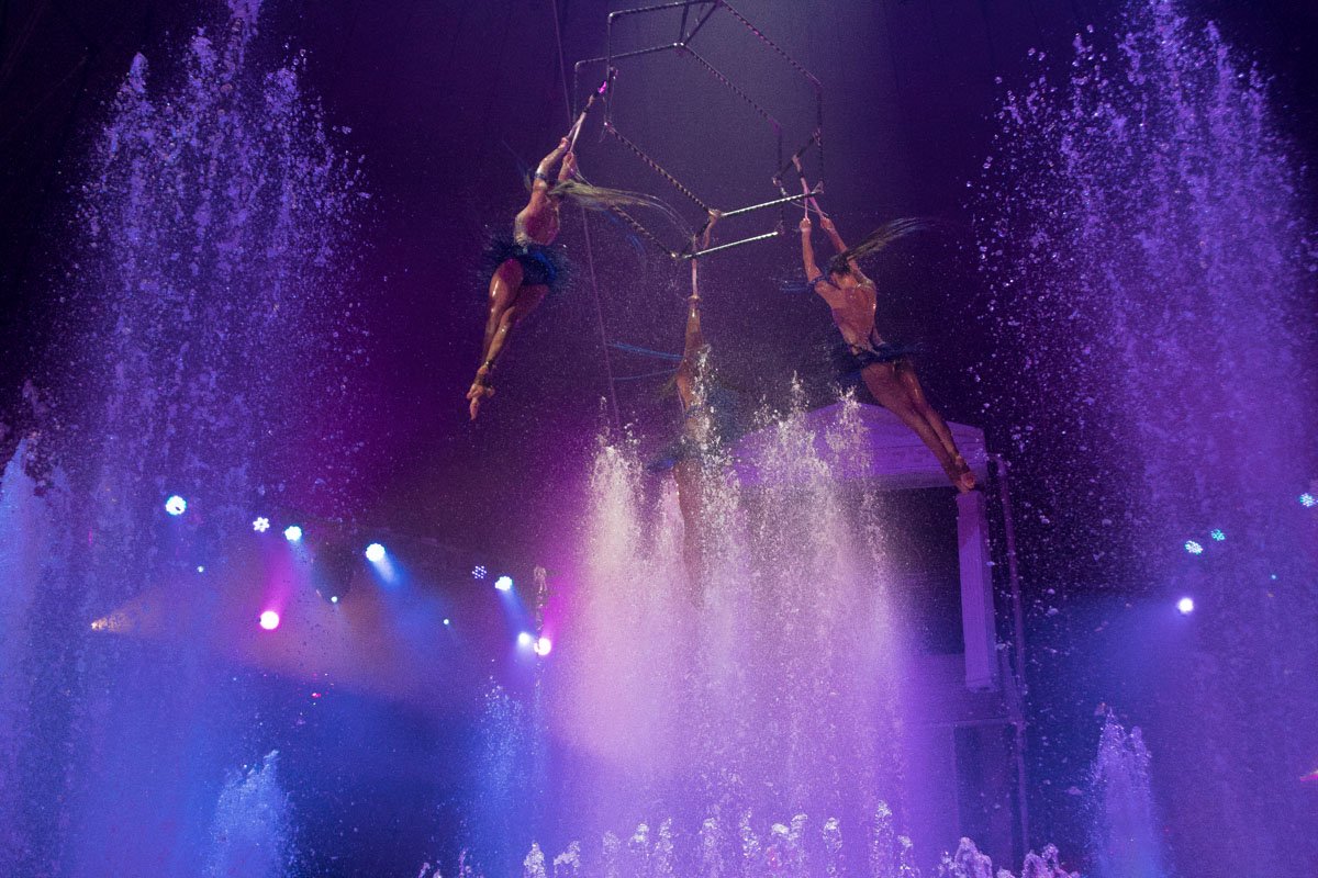 И манеж, и бассейн