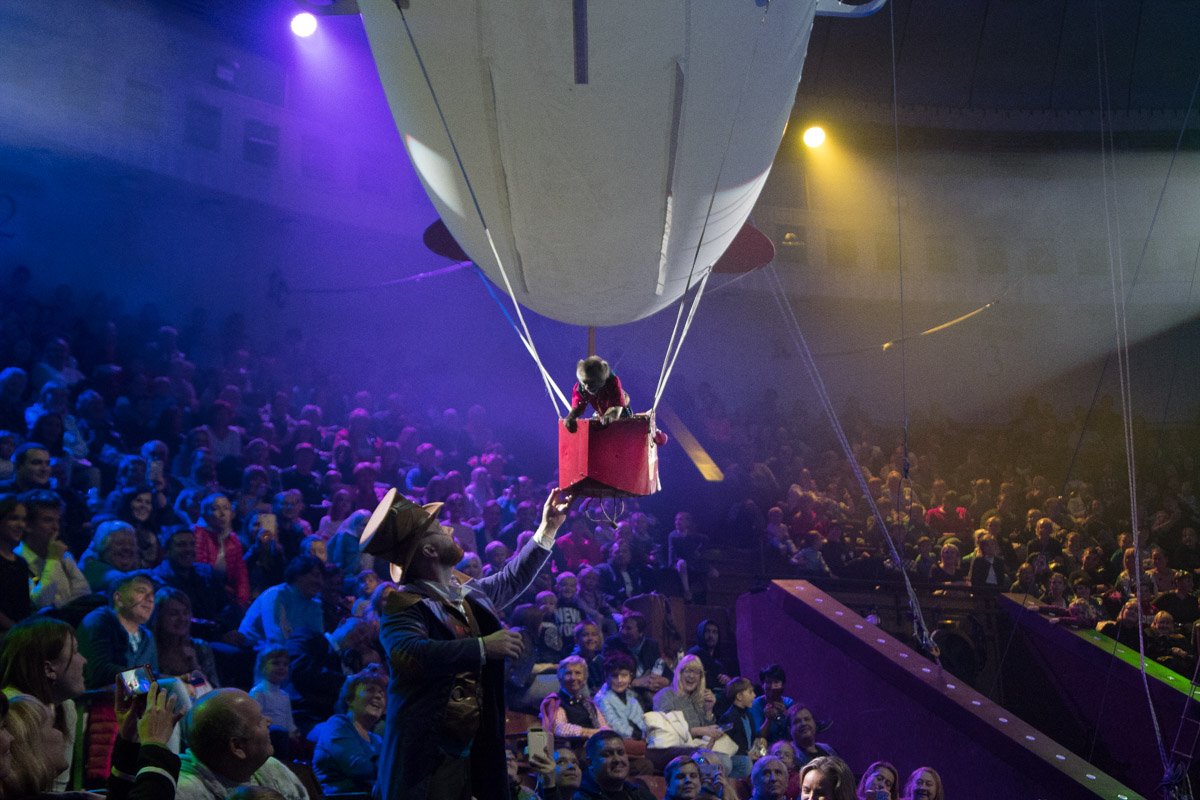 Обезьянка никого не оставит равнодушным