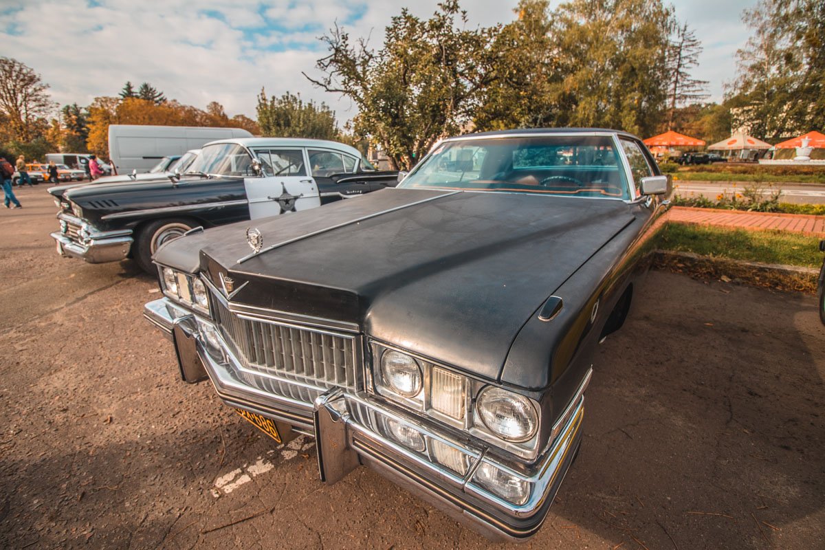 Почувствовать себя гангстером и сделать тематические фото - вот что нужно запечатлить!