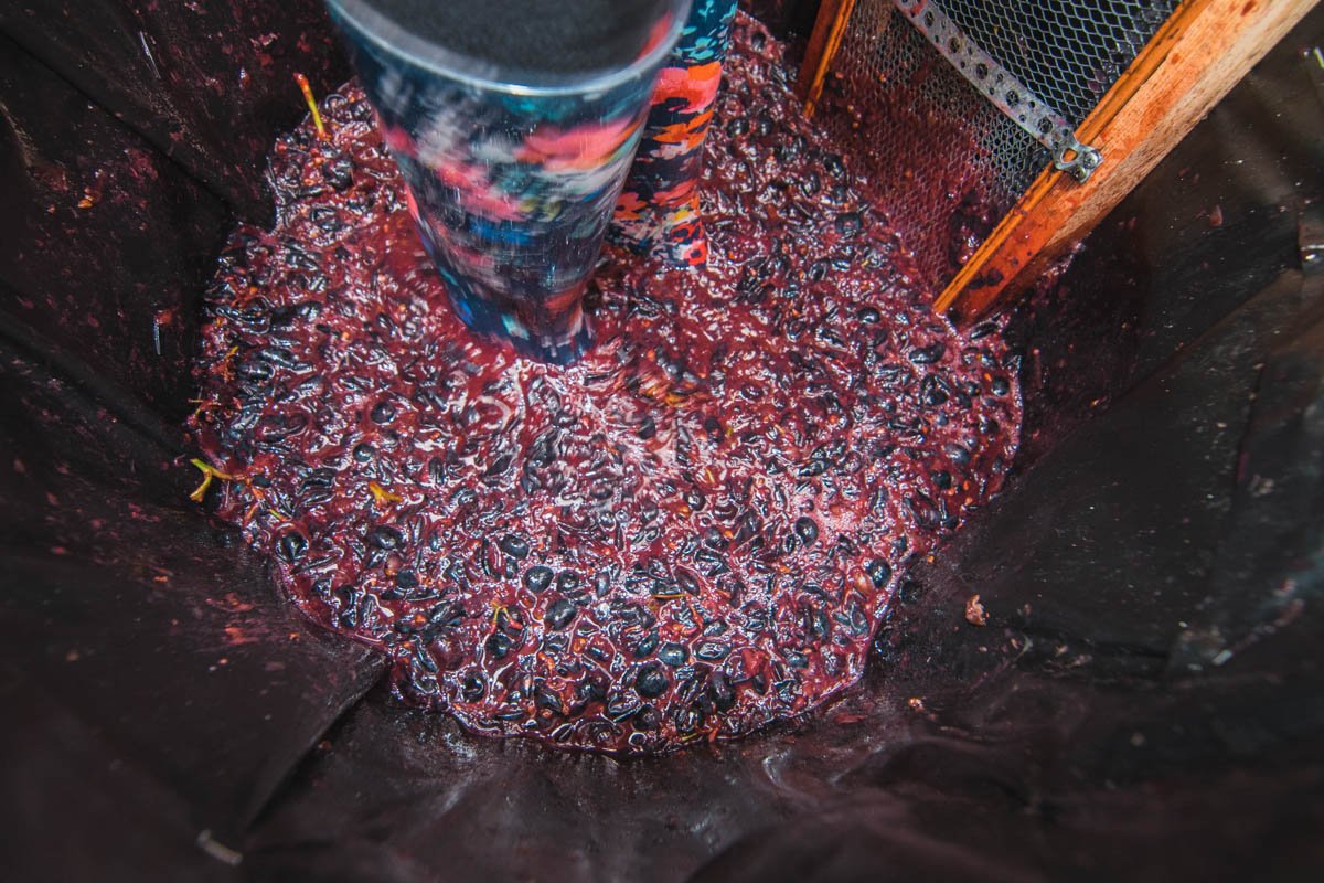 Натуральное вино собственными ногами Натуральное вино собственными ногами