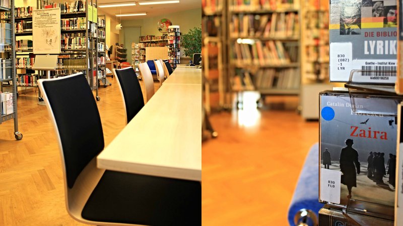 Книги, учебники, журналы, фильмы, музыка и много другого