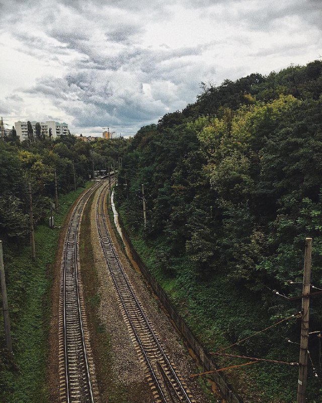 Дорога вдаль на Нивках. Фото: @elliekrlnk Дорога вдаль на Нивках. Фото: @elliekrlnk