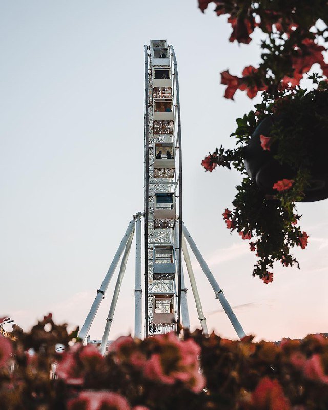 Колесо на Подоле безумно красивое, но с необычного ракурса - завораживает. Фото: @zhukevych Колесо на Подоле безумно красивое, но с необычного ракурса - завораживает. Фото: @zhukevych