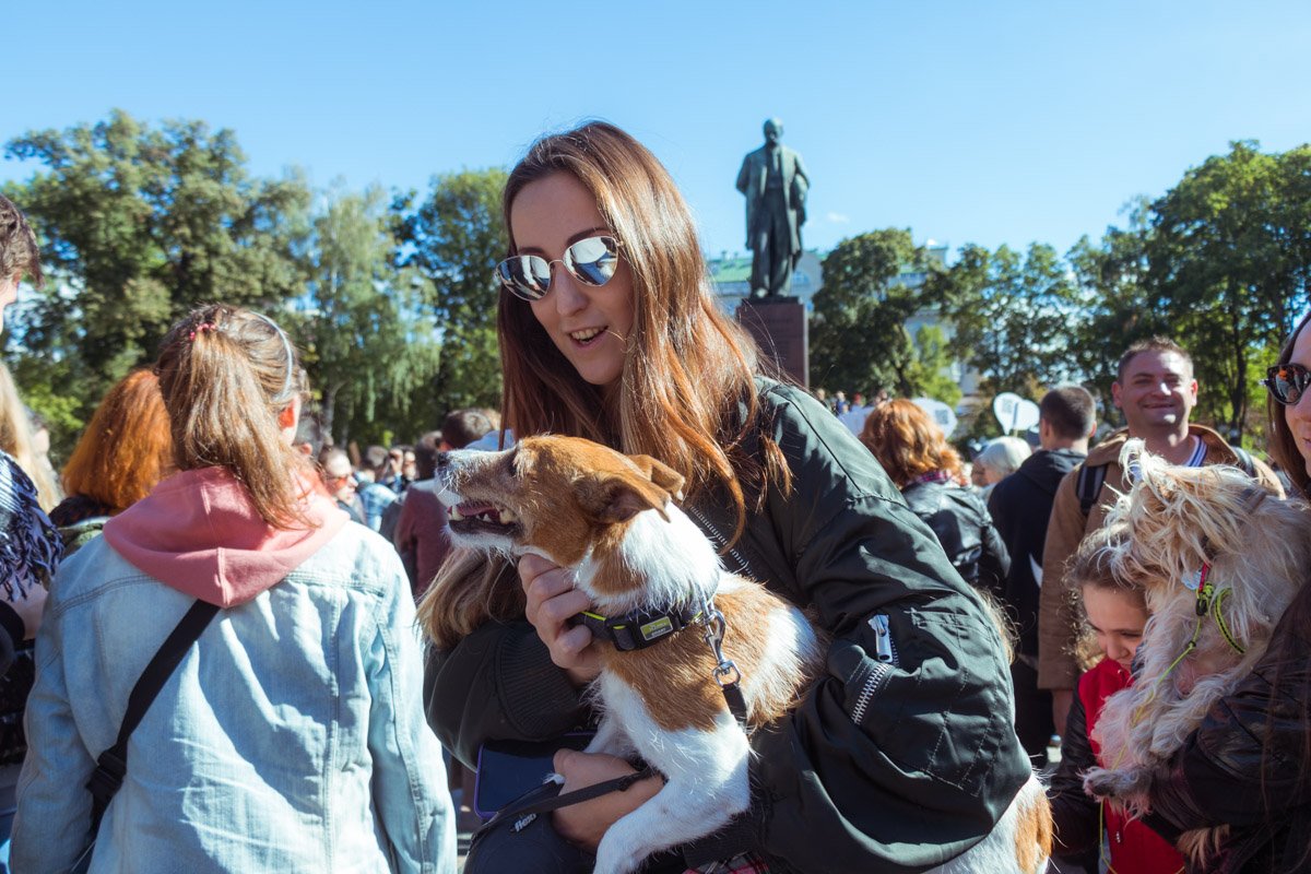 Многие пришли на акцию со своими любимцами