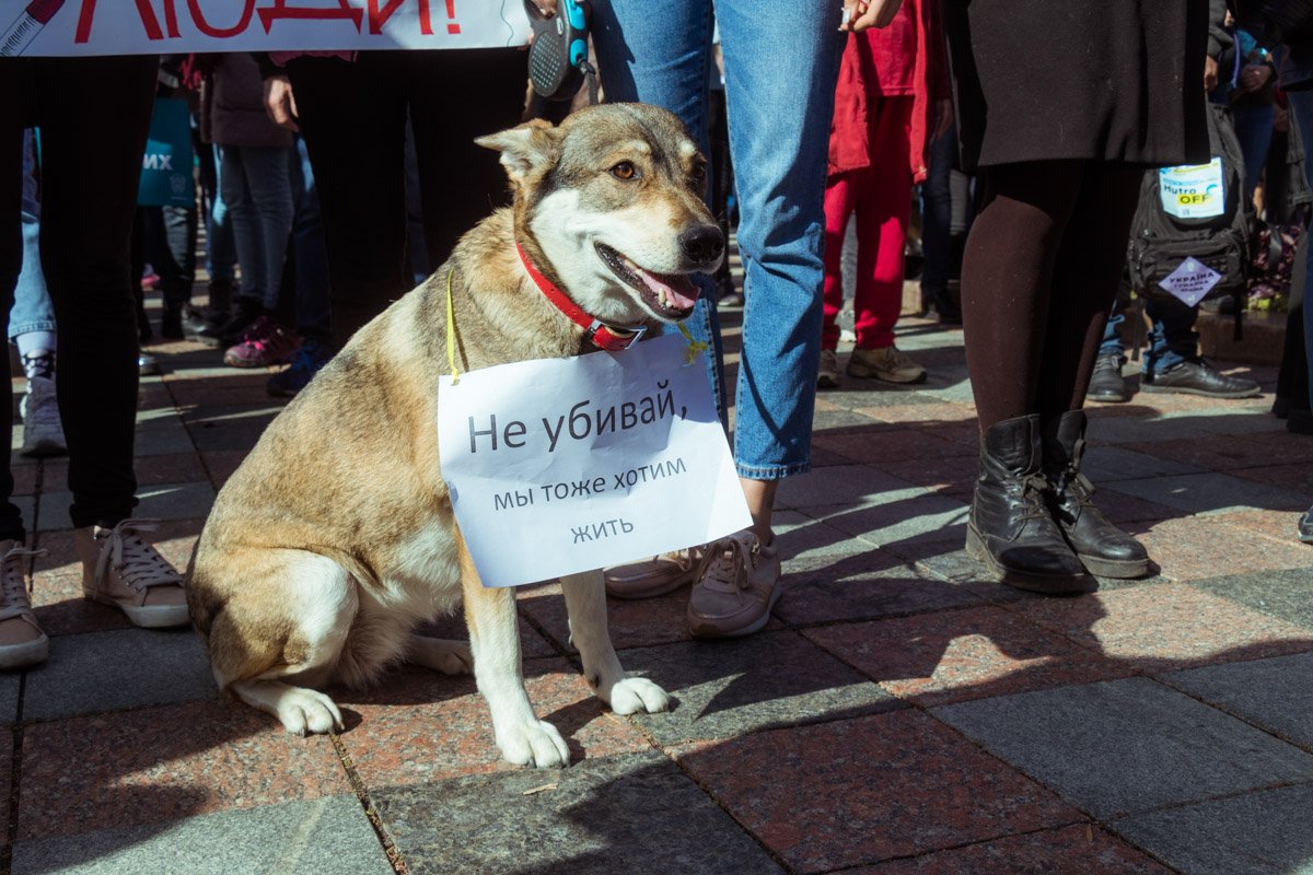Полноправный участник марша