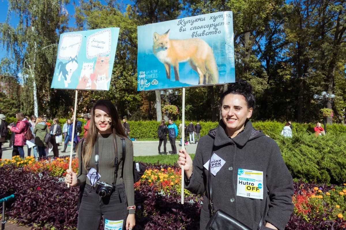 Петиция о запрете производства меха набрала уже более 27 000 голосов