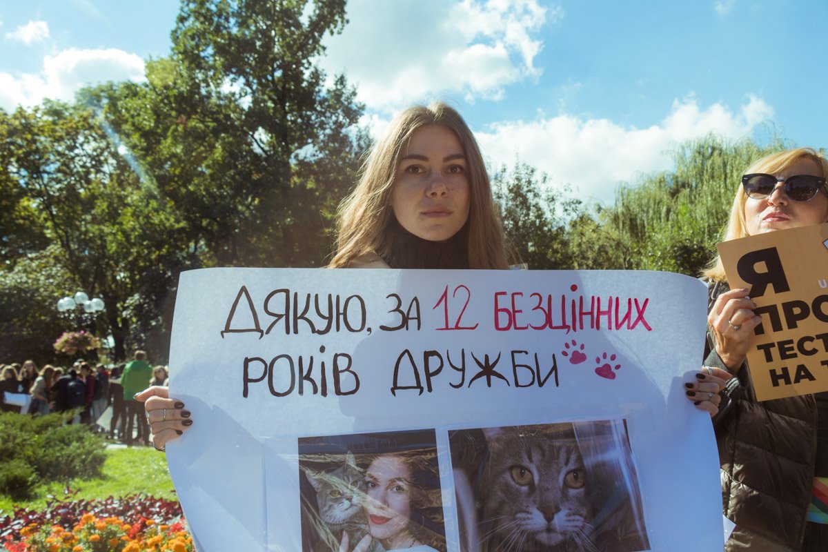 Наши любимцы остаются в памяти навсегда