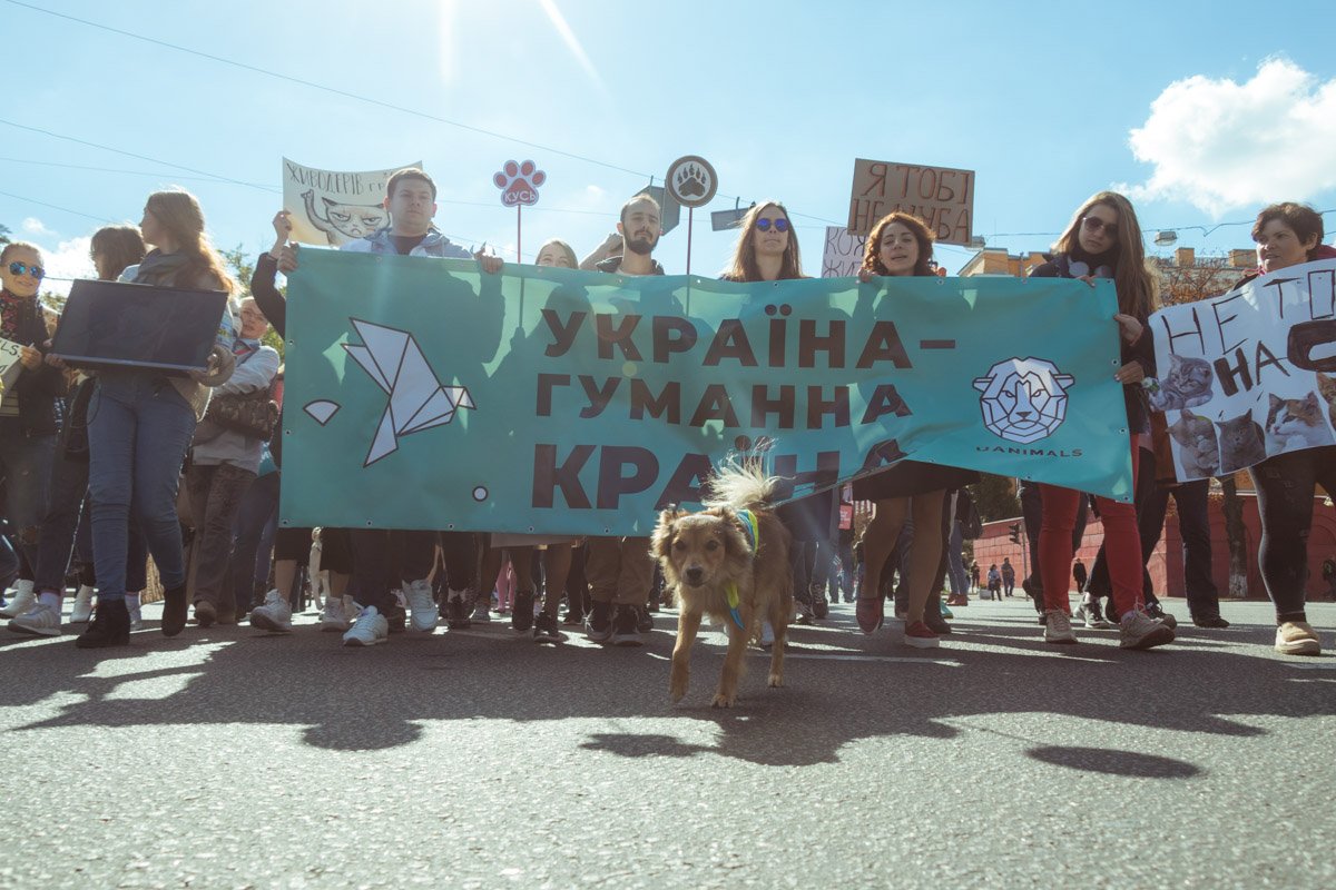 Активисты прошли маршем к Софийской площади