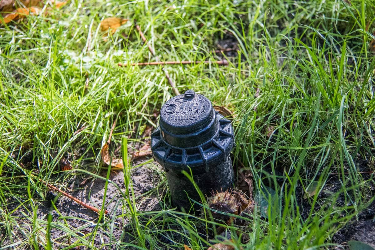 Обновленные системы поливов помогут газонам не высохнуть под палящим солнцем