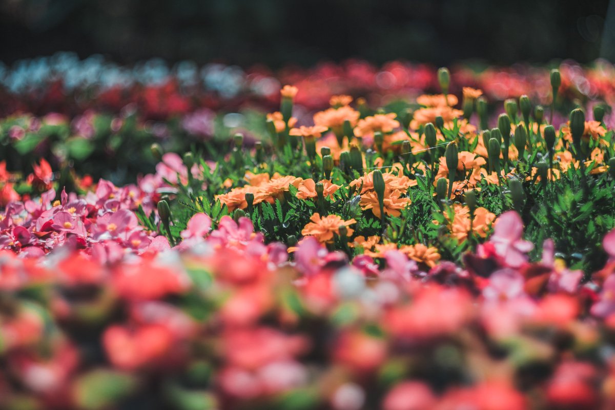 Выставка продлится до 28 октября