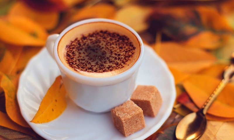 Чем заняться в Киеве осенью: ТОП идей на октябрь 4