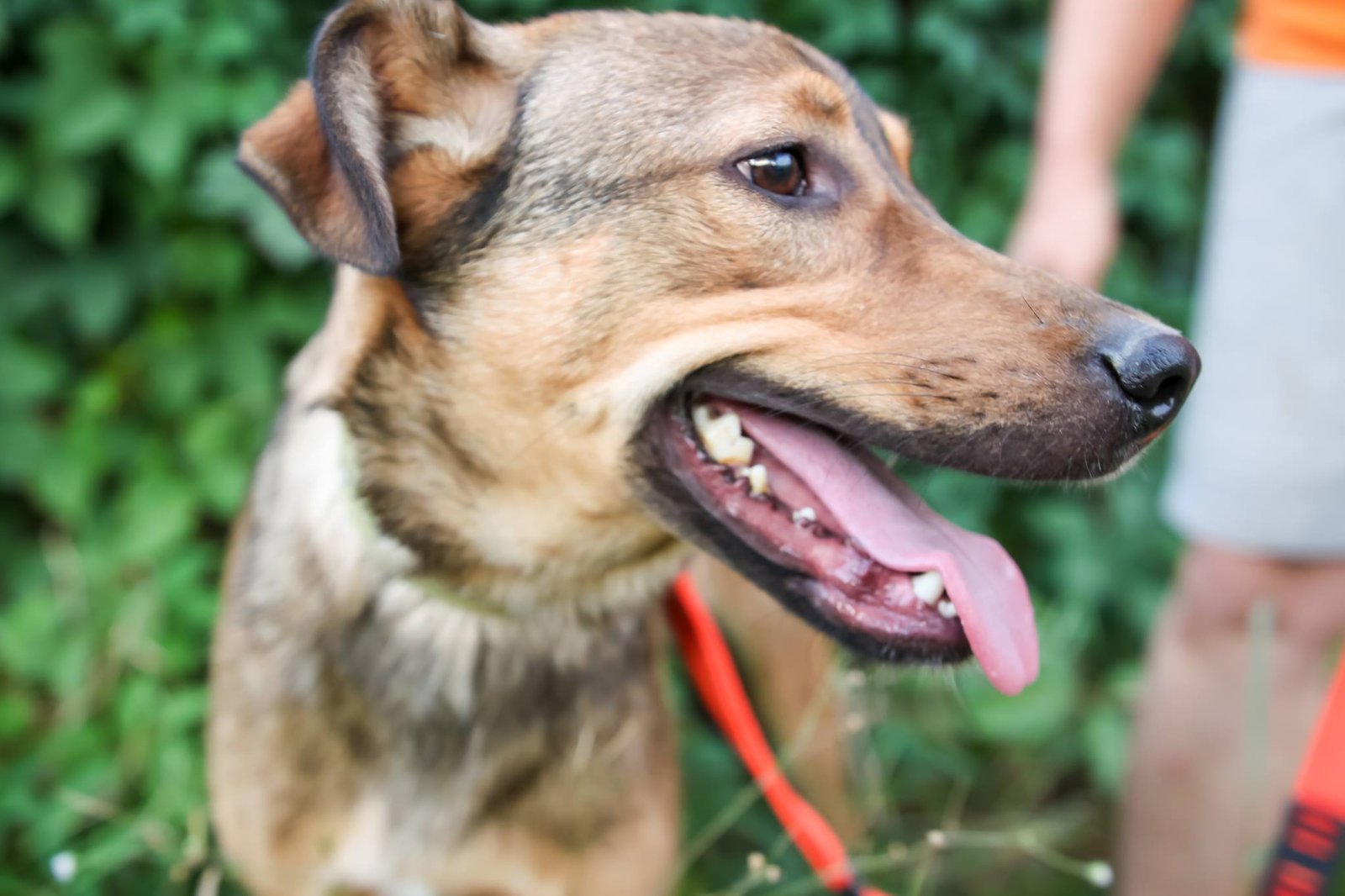 Семен любит обнимашки