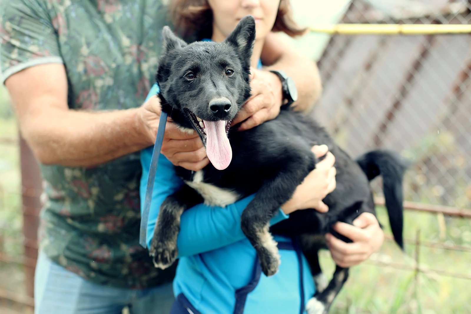 Черри - энергичная и добрая