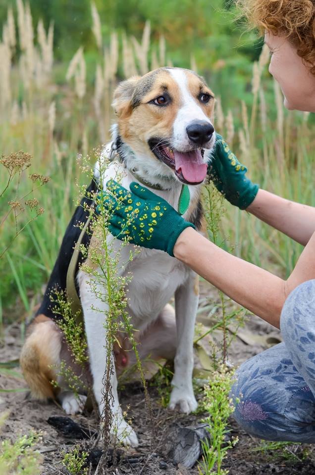 Руно - надежный друг