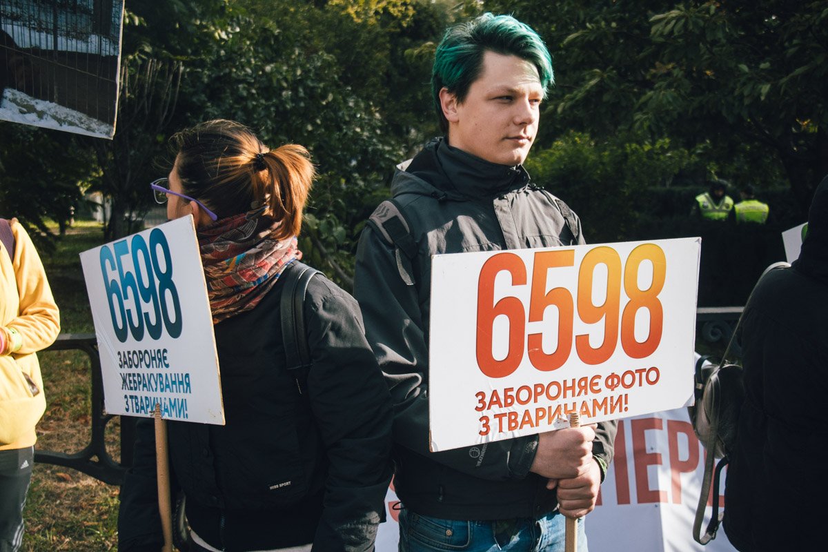 Участники призвают депутатов принять законопроект № 6598