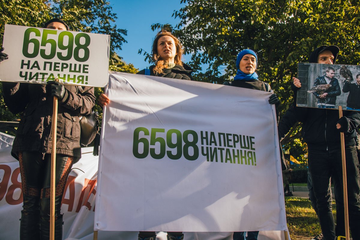 Законопроект должны рассмотреть в первом чтении