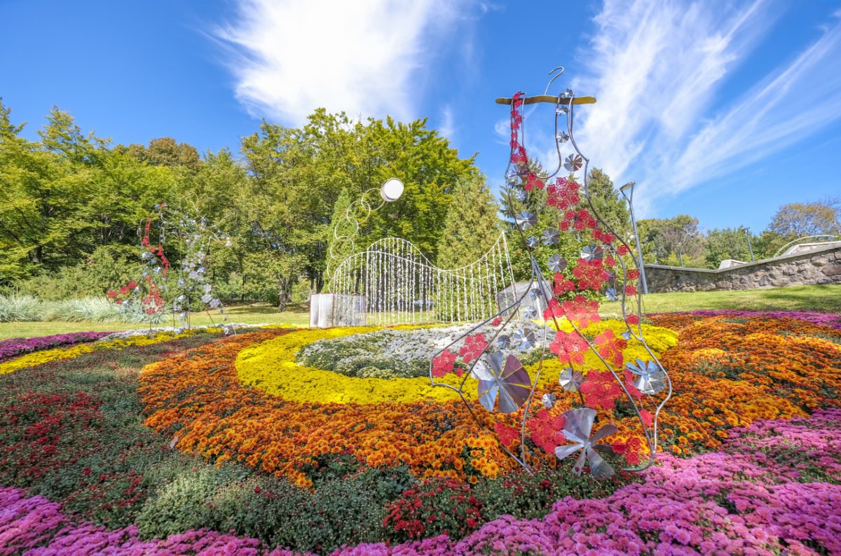 Фестиваль "Хризантем" в Киеве