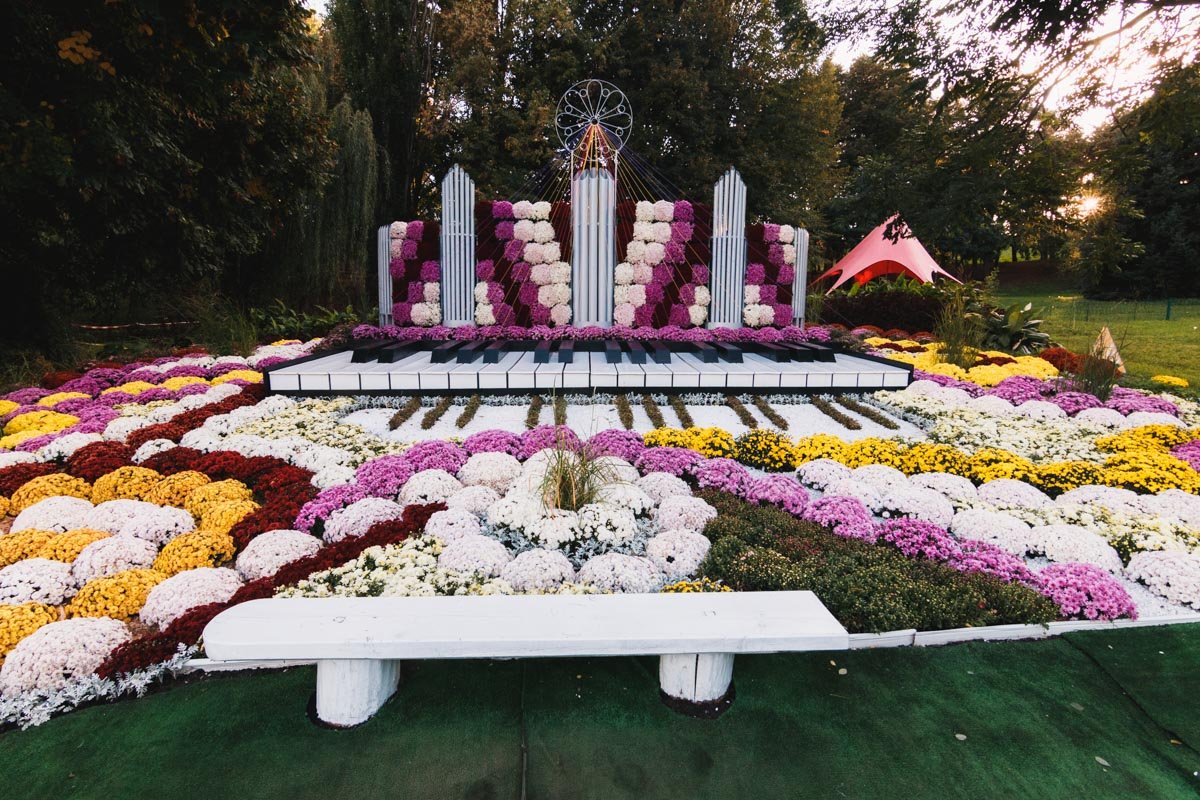 Фестиваль представил около 25 тысяч хризантем Фестиваль представил около 25 тысяч хризантем