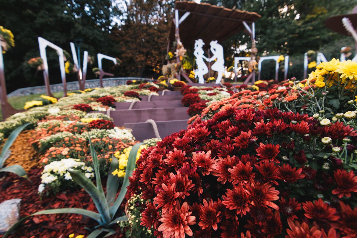 Хризантемы заполонили своей красотой весь парк Хризантемы заполонили своей красотой весь парк