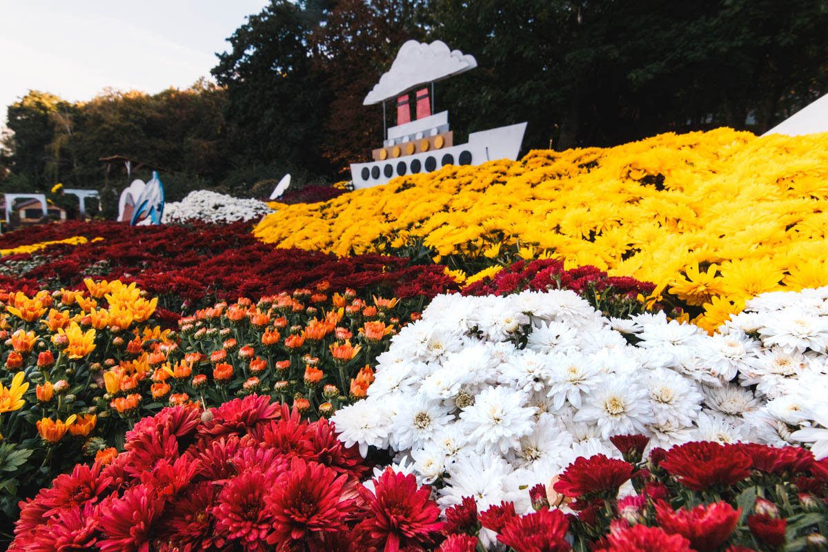 В таких цветах хочется утонуть В таких цветах хочется утонуть