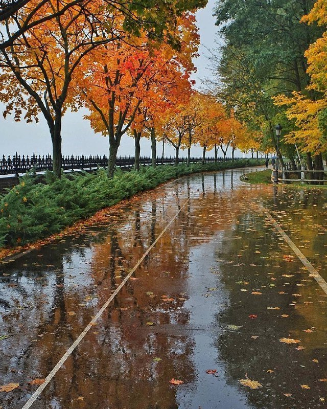 Все краски осени на одной фотографии. Фото: @ryzhkov_aleksandr