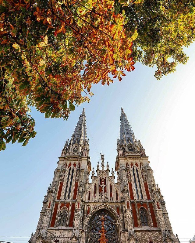 Живописный костел Святого Николая - одна из визитных карточек города. Фото: @chirikalove